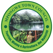 Mpongwe Town Council